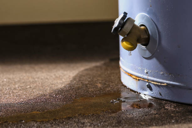 Best Water damage restoration near me  in Manti, UT