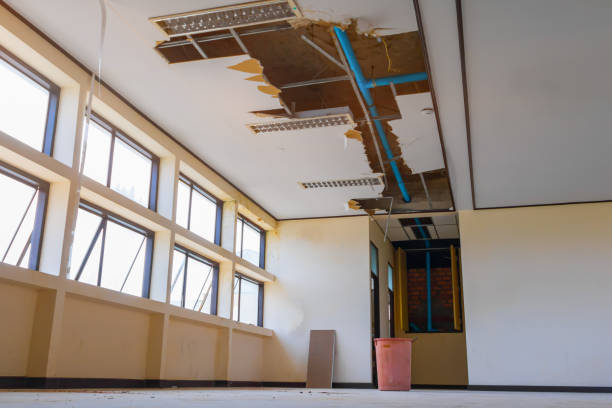 Best Sewage cleanup and water damage restoration  in Manti, UT