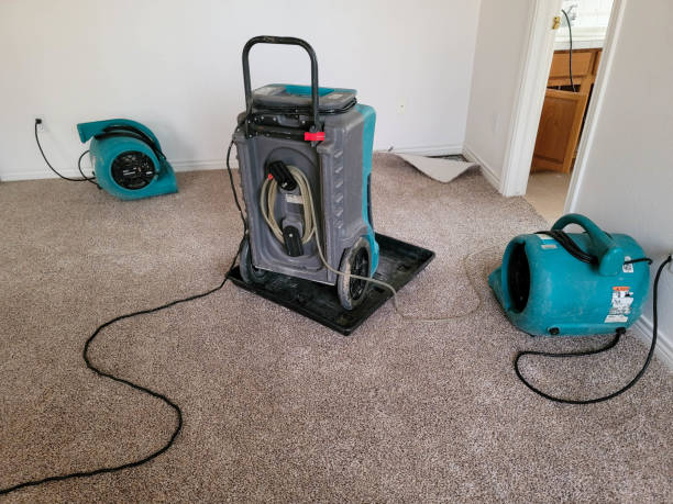 Water damage restoration mold remediation in Manti, UT