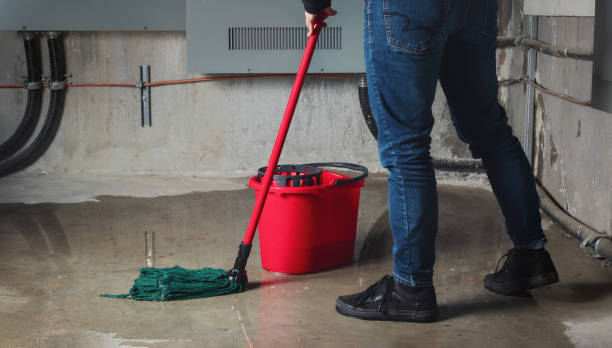 Best Residential water damage restoration  in Manti, UT