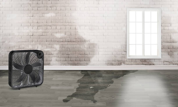 Best Ceiling water damage repair  in Manti, UT