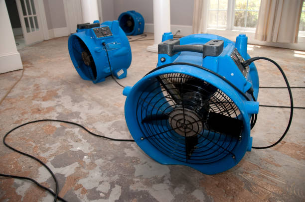 Best Carpet water damage restoration  in Manti, UT