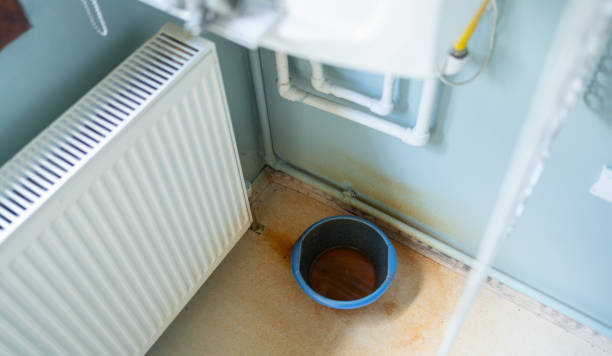 Best Mold removal after water damage  in Manti, UT